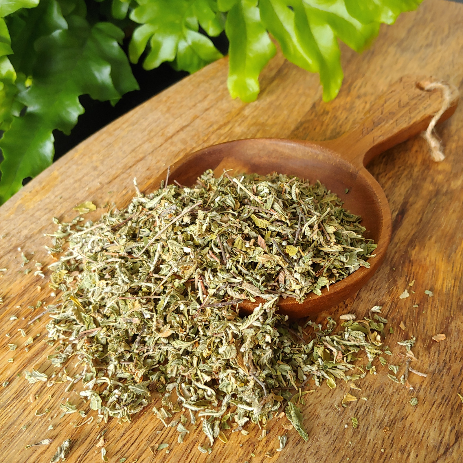 Navrang Spices